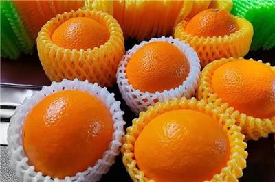 泡沫箱廠家案例-果蔬儲存運輸